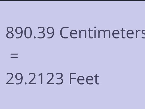 890.39 CM TO FEET