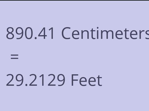 890.41 CM TO FEET