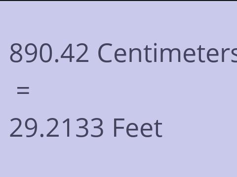 890.42 CM TO FEET