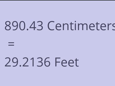 890.43 CM TO FEET