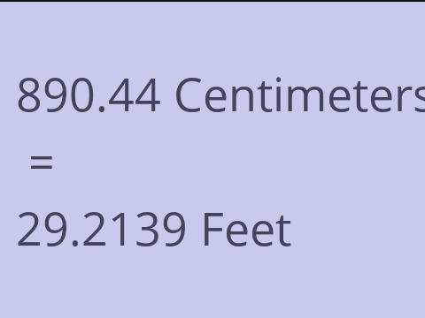 890.44 CM TO FEET