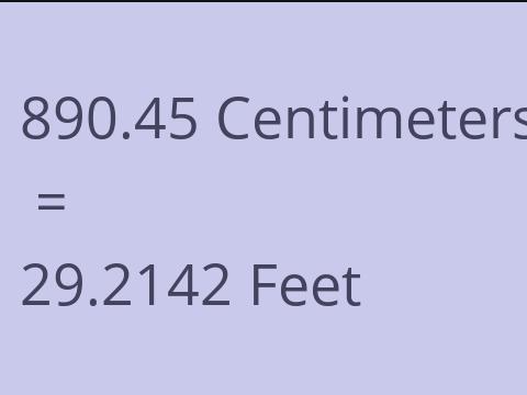 890.45 CM TO FEET