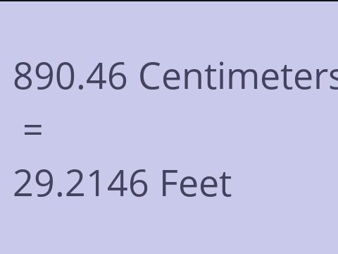 890.46 CM TO FEET