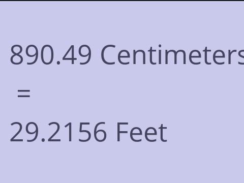 890.49 CM TO FEET