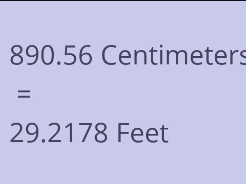 890.56 CM TO FEET