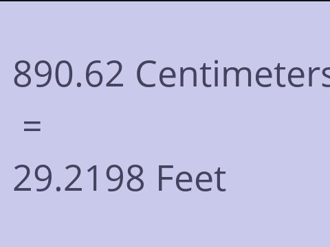 890.62 CM TO FEET