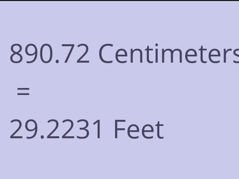 890.72 CM TO FEET