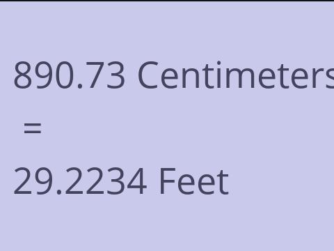 890.73 CM TO FEET