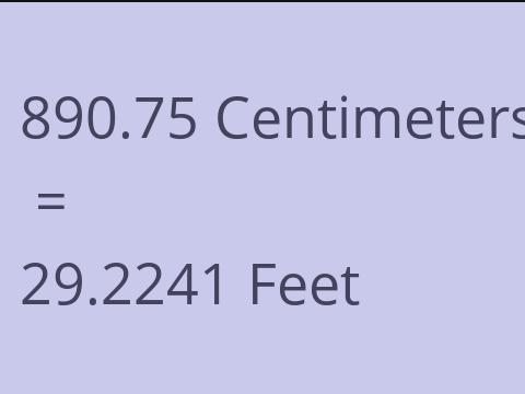 890.75 CM TO FEET