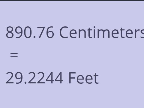 890.76 CM TO FEET