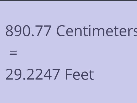 890.77 CM TO FEET