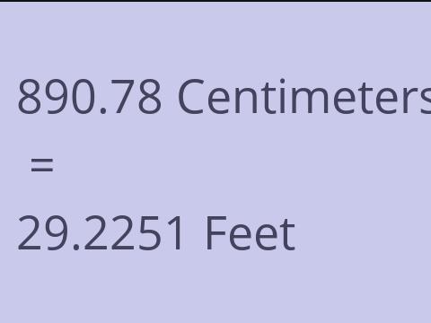 890.78 CM TO FEET