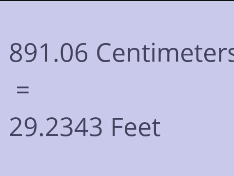 891.06 CM TO FEET