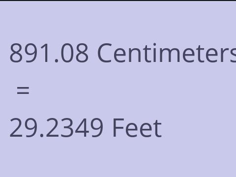 891.08 CM TO FEET