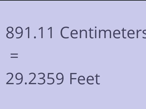 891.11 CM TO FEET