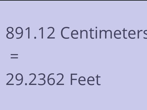 891.12 CM TO FEET