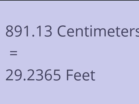 891.13 CM TO FEET