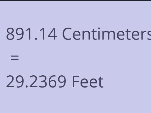 891.14 CM TO FEET