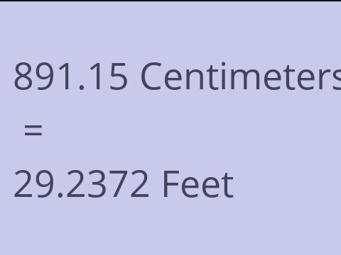 891.15 CM TO FEET