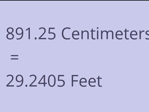 891.25 CM TO FEET