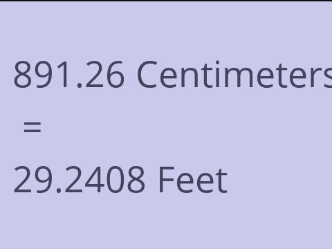 891.26 CM TO FEET