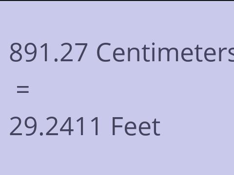 891.27 CM TO FEET