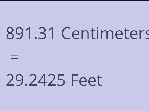 891.31 CM TO FEET