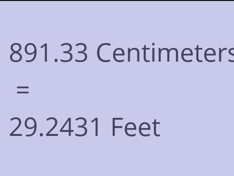 891.33 CM TO FEET