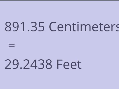 891.35 CM TO FEET