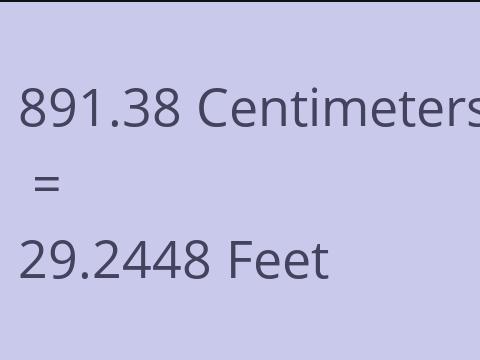 891.38 CM TO FEET