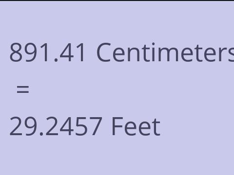 891.41 CM TO FEET