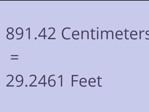 891.42 CM TO FEET