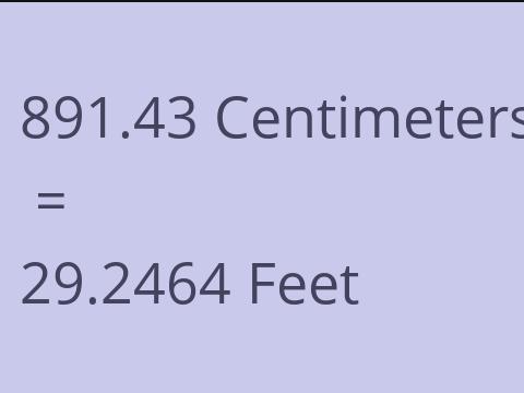 891.43 CM TO FEET