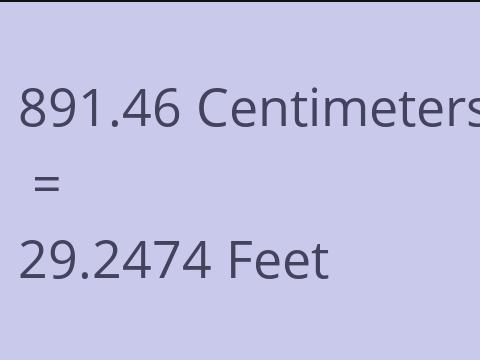 891.46 CM TO FEET