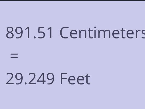 891.51 CM TO FEET