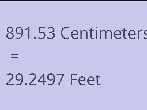 891.53 CM TO FEET