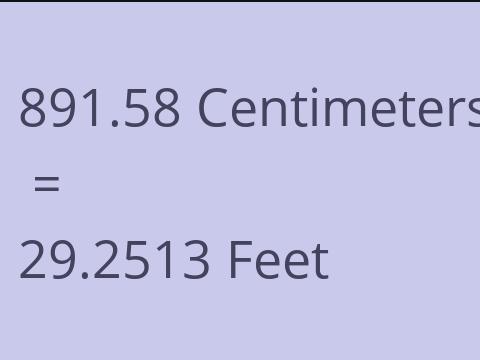 891.58 CM TO FEET