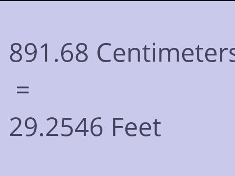 891.68 CM TO FEET