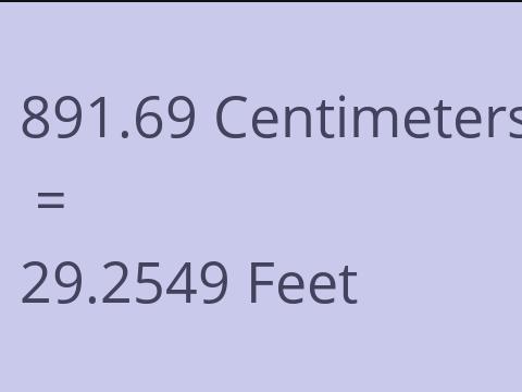 891.69 CM TO FEET