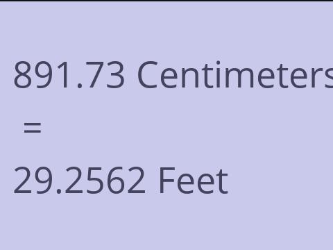 891.73 CM TO FEET