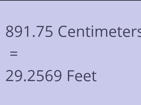 891.75 CM TO FEET