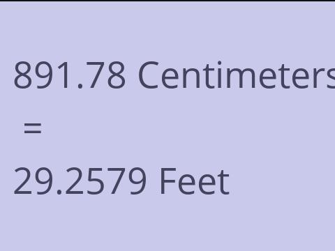 891.78 CM TO FEET