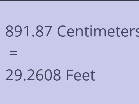 891.87 CM TO FEET