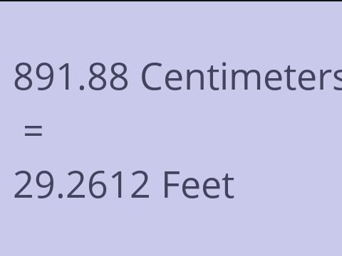 891.88 CM TO FEET