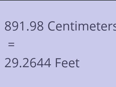 891.98 CM TO FEET