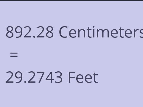 892.28 CM TO FEET