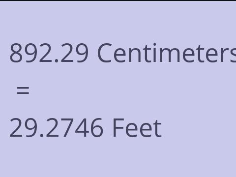 892.29 CM TO FEET