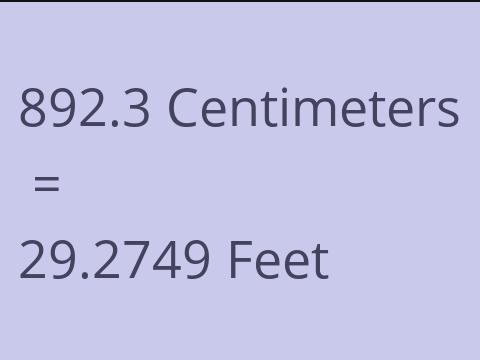 892.3 CM TO FEET