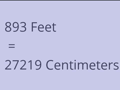 893 FEET TO CM