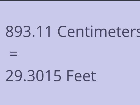 893.11 CM TO FEET